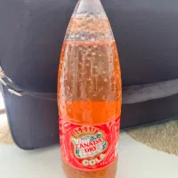 ابغوره و رب آلوچه