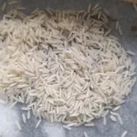 خرید برنج مستقیم از شالیزار گیلان ۱۲۵|خوردنی و آشامیدنی|کرج, کمال‌شهر|دیوار
