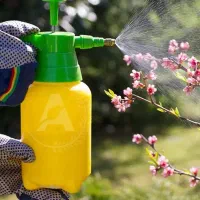 سمپاشی و کود دهی درخت و فضای سبز|خدمات باغبانی و درختکاری|بندرعباس, |دیوار
