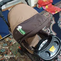 کالیسکه بچه نو نو|کالسکه و لوازم جانبی|شیراز, لشکری‎|دیوار