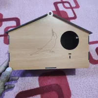 لونه عروس هلندی