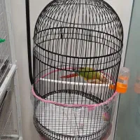 قفسه گرد . قفسه پایه دار