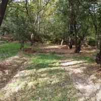 ۷۰۰ متر زمین فردو با پروانه