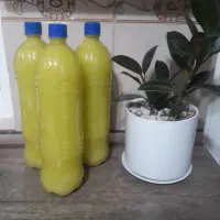 آبلیمو و رب خانگی
