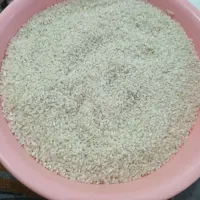 برنج میاندانه تازه هاشمی