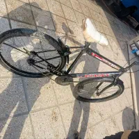 دوچرخه ویوا 26