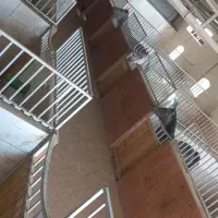 پانسیون ،نگهداری و آموزش سوارکاری اسب در باشگاه