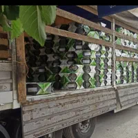 پخش عمده لوله اتصالات کشاورزی