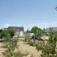 باغ ویلا|فروش خانه و ویلا|شاهین‌شهر, مورچه خورت|دیوار