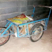 گاری سه چرخ