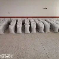 بذریونجه|خدمات باغبانی و درختکاری|کازرون, |دیوار