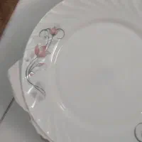 سرویس فرانسه|ظروف سرو و پذیرایی|فولادشهر, C8|دیوار