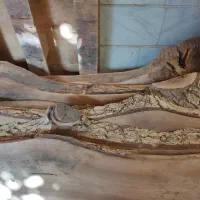 چوب برش خورده تزیینی|صنایع دستی و سایر لوازم تزئینی|اسلام‌شهر, شهرک الهیه|دیوار