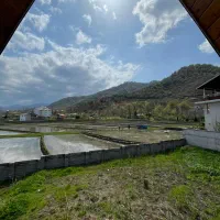 کارگر علف زن