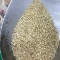 انواع حبوبات و برنج محلی ( چیتی ۳۲۰ فجر طارم ۲۱۰)|خوردنی و آشامیدنی|دهدشت, |دیوار