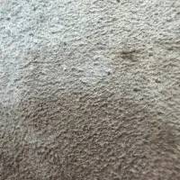 کارگر ساده رستوران