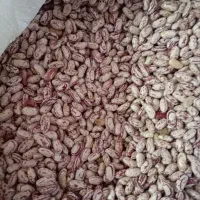 لوبیا چیتی درجه یک|خوردنی و آشامیدنی|موچش, |دیوار