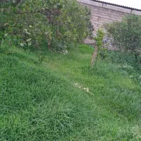 ۱۶۰متر زمین داخل بافت در روستای زوارده