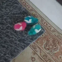 ۳ جوجه رنگی سالم دونه ای ۵۰ تومن دونه ای