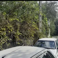 فروش زمین|فروش زمین و ملک کلنگی|رشت, جانبازان|دیوار