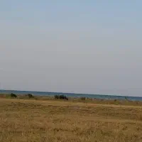 مشارکت ،سرمایه ازما،زمین هکتاری ازشما