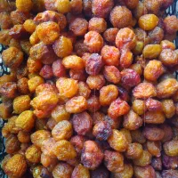 ۵تن‌آلو‌رسمی،کبرایی،درجه‌یک