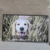 تعمیر تخصصی تلویزیون و اسپیکر|خدمات پیشه و مهارت|اسلام‌شهر, شهرک مفیدی|دیوار