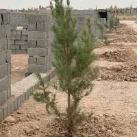 زمین ملکی آماده به ساخت|فروش زمین و ملک کلنگی|مشهد, میان ولایت|دیوار
