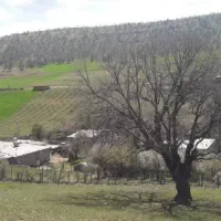 مدارک گم شده