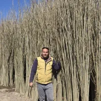 نهال فروشی مهندس فرخی|خدمات باغبانی و درختکاری|یاسوج, |دیوار