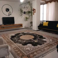 یه عدد فرش ۱۲متری