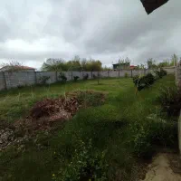 310 متر زمین مسکونی امیر کیاسر کیاشهر، مالک هستم