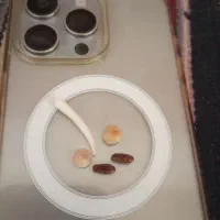 عطیقه