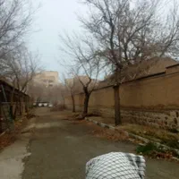 اره موتوری و اره برقی قطع و هرس درخت خرید چوب|خدمات باغبانی و درختکاری|تهران, ایران|دیوار