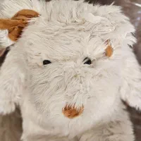 عروسک سگ پشمالو|اسباب‌بازی بچه|اصفهان, باغ نگاره|دیوار