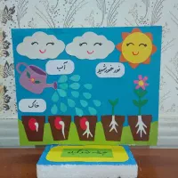 ماکت طرح جابر کاردستی چرخه آب رشد گیاه چشم گوش قلب