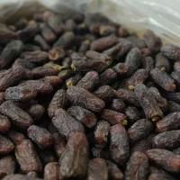 خرمای درجه یک پیارم حاجی آباد|حراج|حاجی آباد, |دیوار