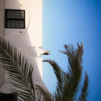 تصویر برداری هوایی تخصصی با هلی شات|خدمات پذیرایی، مراسم|تهران, پاسداران|دیوار