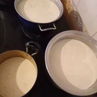 شیر ماست وپنیر خشک گوسفندی