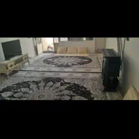 تلویزیون ۴۳ اینچ اسنوا سرقت شده است