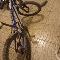 دوچرخه ۲۴|دوچرخه، اسکیت، اسکوتر|بیله سوار, |دیوار