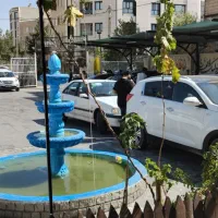 استخدام نیرو کارگر در مجموعه بزرگ مسترکارواش 33%