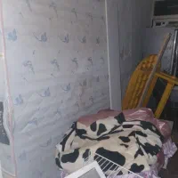 تخت ۲نفرا|تخت و سرویس خواب|بیستون, |دیوار