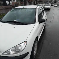 ۲۰۶ دور رنگ