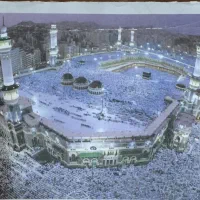 یک عدد فیش عمره