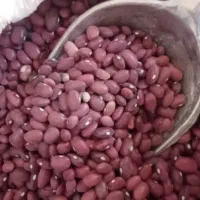 لوبیا چیتی،لوبیا قرمز،خورده برنج