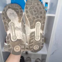 کتونیzx 8000|کیف، کفش، کمربند|باغستان, |دیوار