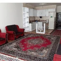 منزل مبله تمیز و امن پارکینگ|اجارهٔ کوتاه‌مدت آپارتمان و سوئیت|کرمان, |دیوار
