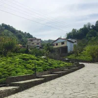 573مترزمین بالای کوه لیالستان دیزبن جاده سنگفرش