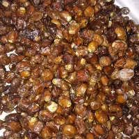 رطب و خرما برحی آبادان|خوردنی و آشامیدنی|قم, یزدان‌شهر|دیوار